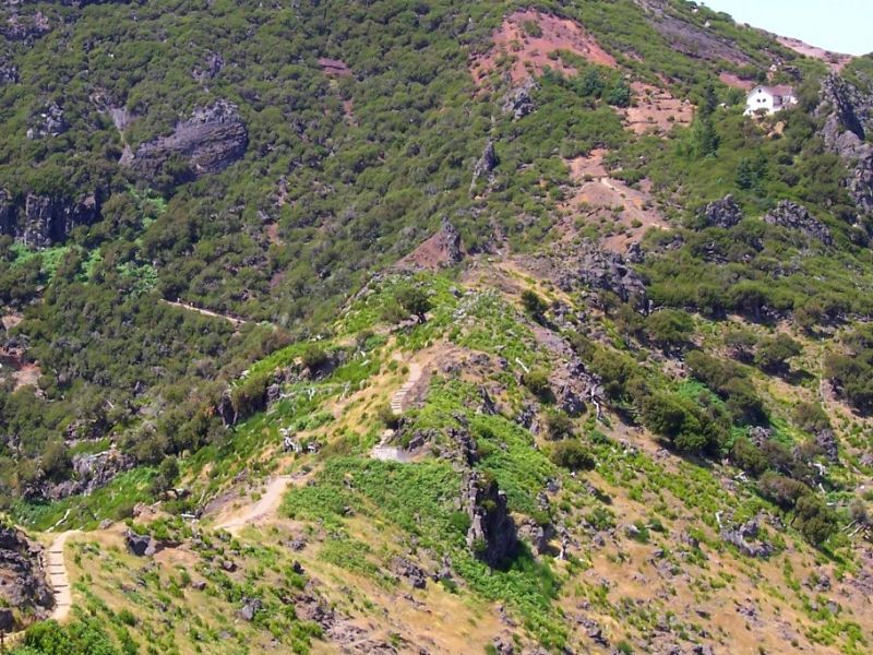 Vereda_Pico_Ruivo